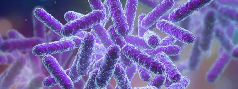 بایوساید چیست ؟